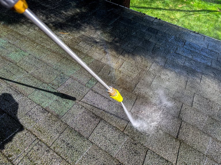 Roof cleaning