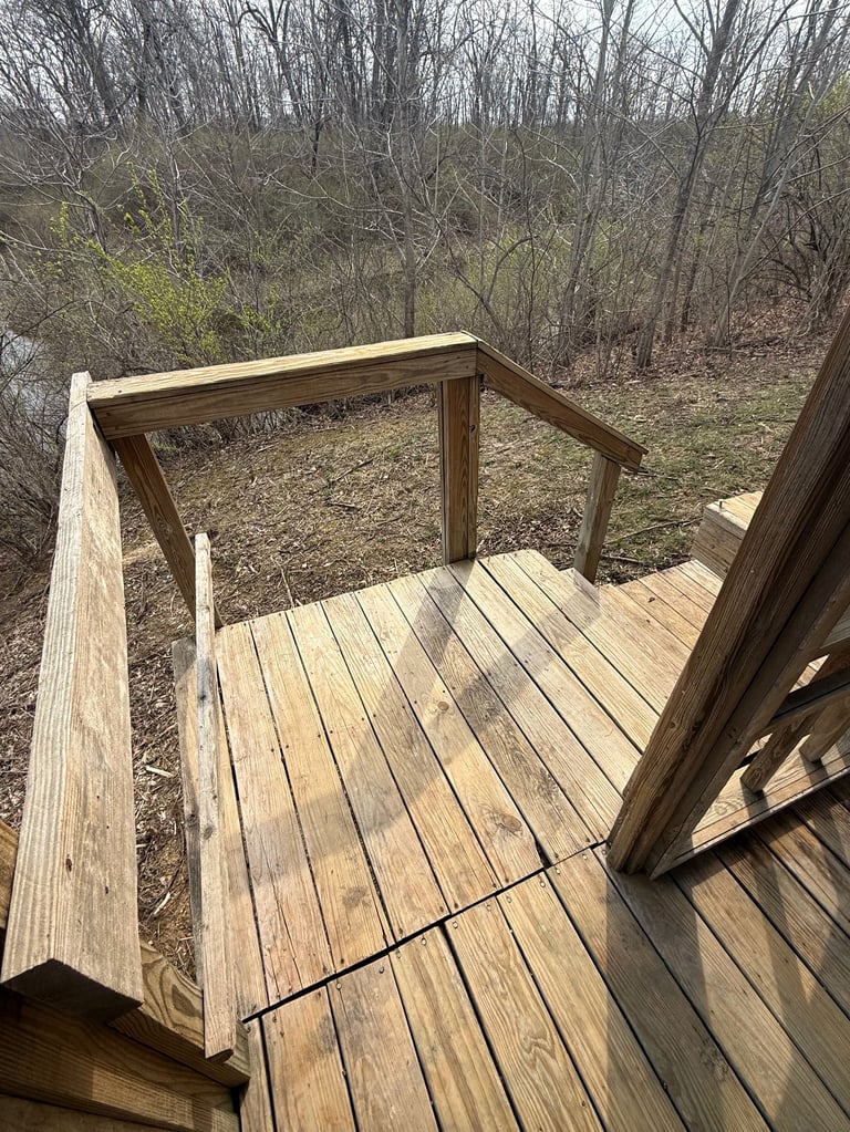 Wooden deck with three-sided pergola structure overlooking bare trees and forest floor