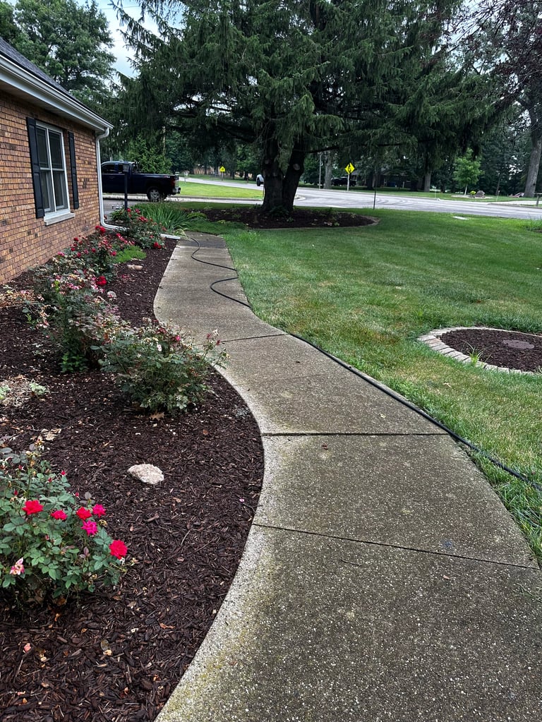 Suburban home with winding concrete walkway, mulch garden beds with red flowers, large mature tree, and manicured lawn